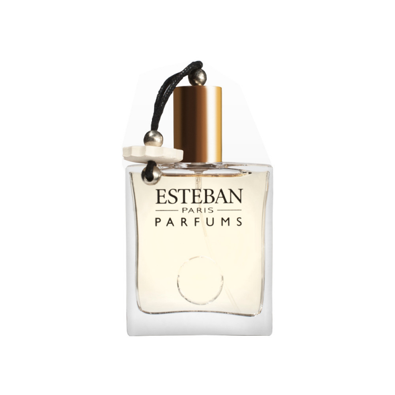 Esteban Paris AMBRE
