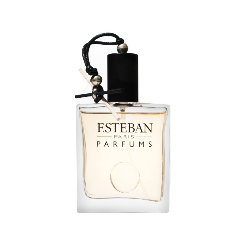 Esteban Paris BOIS PLUME