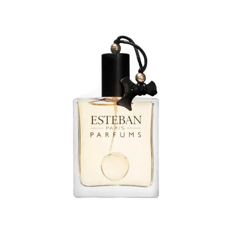 Esteban Paris BOIS VELOURS