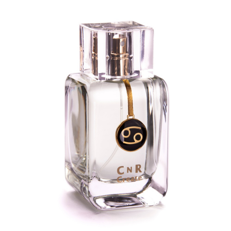 CnR Create Cancer / Rak