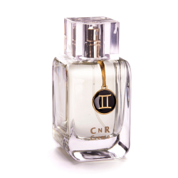 CnR Create Gemini / Bliźnięta