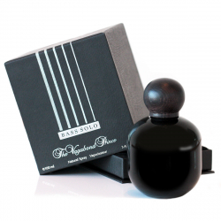 The Vagabond Prince Bass Solo