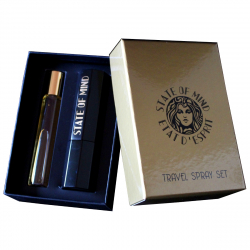 State of Mind AESTHETIC TURBULENCE