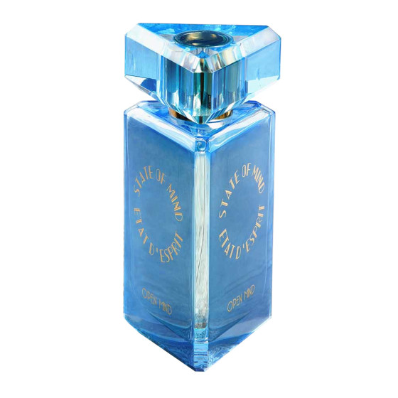 State of Mind OPEN MIND